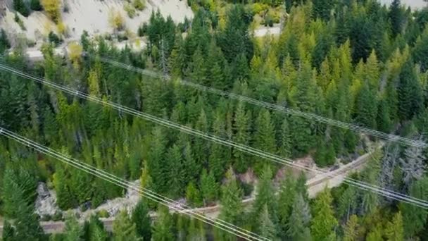 Linhas Eletricidade Sobre Floresta Verde Canadá — Vídeo de Stock