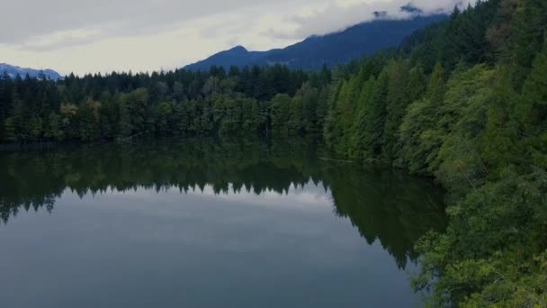 Mirror Lake Reflection Green Pine Forest Mountains — Stock Video