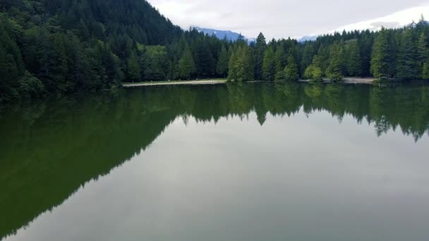 Lago Claro Con Bosque Las Montañas Fondo — Vídeos de Stock