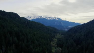 Yeşil ladin ormanı ve küçük bulutlu dağlarla vadinin üzerinden uç.