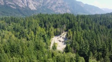 Ormanın havadan görünüşü, arka planda çığ ve dağlar