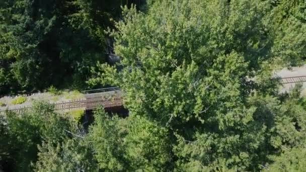 Luftaufnahme Der Eisenbahn Brücke Und Des Wilden Flusses Kanadischen Wald — Stockvideo