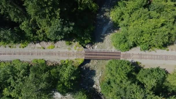 Pohled Shora Dolů Most Přes Divokou Řeku Železnici Obklopenou Lesem — Stock video