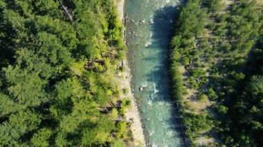 Yeşil ladin ormanı ve güneşli bir günde akıntılı vahşi nehir manzarası.