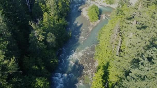 カナダの農村部の野生の川のトップダウンビュー — ストック動画
