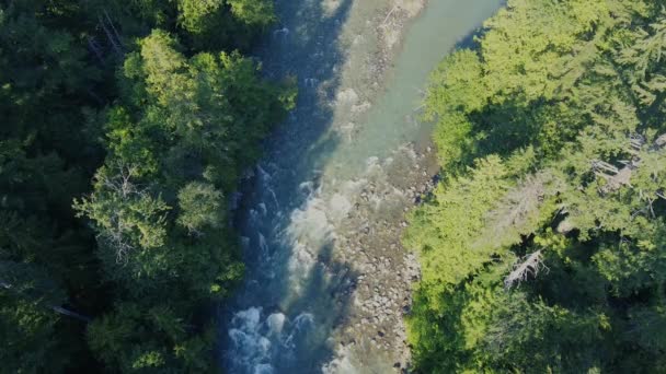 Vue Haut Vers Bas Rivière Bleue Sauvage Dans Forêt Canadienne — Video