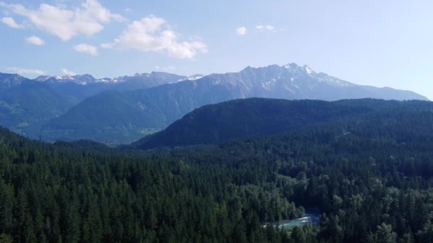 Vola Sopra Foresta Abeti Verdi Cime Delle Montagne Una Giornata — Video Stock