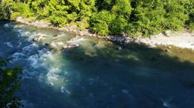 Vahşi Kanada nehri kayalar ve çevreleyen ağaçlarla akıntıya kapılır.