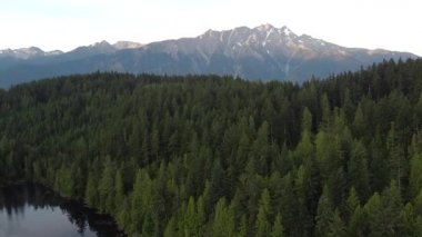 Yeşil ladin ormanının arkasındaki görkemli dağların açılış sahnesi.