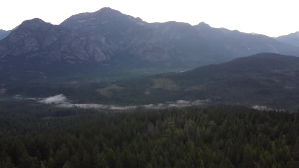 森と山の上の低い雲と谷で撮影ドローン — ストック動画