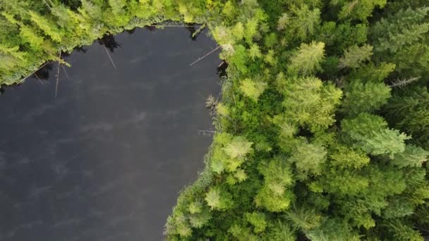 Pohled Shora Dolů Kanadské Jezero Odrážející Mraky Zelený Les — Stock video