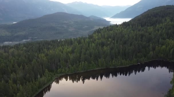 周囲の山々や緑の森と丘と空の湖の空中ビュー — ストック動画