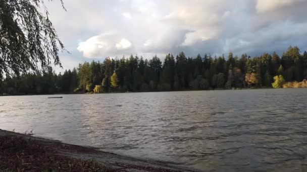 Olas Lago Con Los Árboles Otoño Fondo Día Nublado — Vídeos de Stock