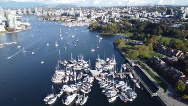 Vue Aérienne Marina Des Yachts Amarrés Dans Baie Vancouver — Video