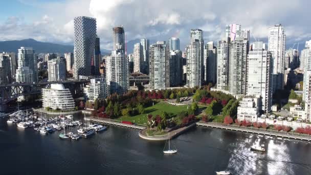 Вид Воздуха Центр Ванкувера Красивый Парк Красными Зелеными Деревьями — стоковое видео