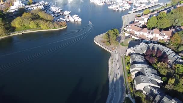 Vancouver Marinasındaki Teknenin Sahil Yolundaki Insanların Hava Görüntüsü — Stok video