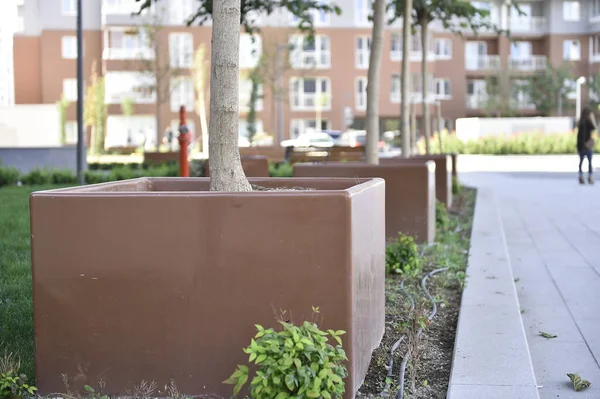 Jardín Casa Edificio Ciudad Arquitectura Casa Calle Árbol Verde Planta — Foto de Stock