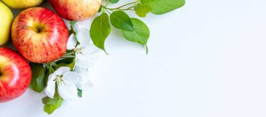 Elma çiçekleri ve olgun elmalar yakın plan çekimde.