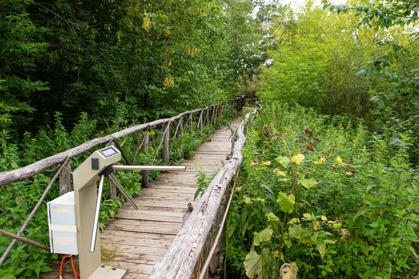 Ormanda turnikeler. kapalı orman yolu