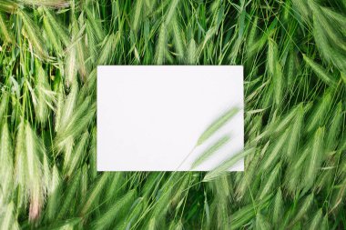 Yeşil çimlerde beyaz defter