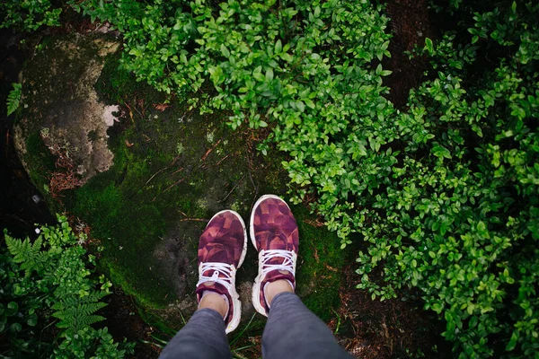 Pies en zapatillas de deporte de color rosa en la roca con fondo verde —  Fotos de Stock