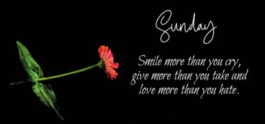 Motivasyon Alıntıları. Günlük Alıntı Motivasyonu