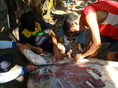 Merkezi Java. Endonezya 'da. 31 Temmuz 2020. Kurban Bayramı Mübarek. Kurbanlık hayvan kurban etmek.