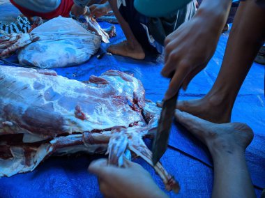 Merkezi Java. Endonezya 'da. 31 Temmuz 2020. Kurban Bayramı Mübarek. Kurbanlık hayvan kurban etmek.