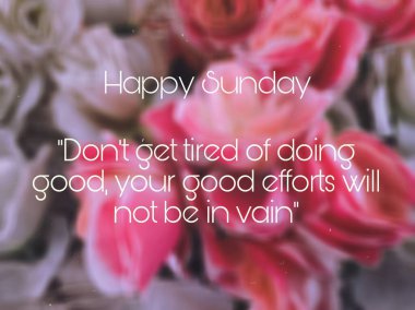 Motivasyon ilham verir. Motivasyonel Pazar Alıntıları