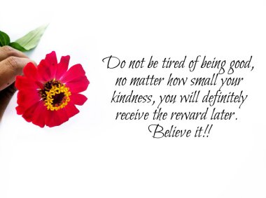 Motivasyon Alıntıları. Günlük Alıntı Motivasyonu