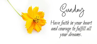 Motivasyon ilham verir. Motivasyonel Pazar Alıntıları