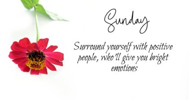 Motivasyon ilham verir. Motivasyonel Pazar Alıntıları