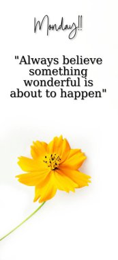 Mutlu Pazartesi Alıntıları Motivasyonu. İlham verici Alıntılar