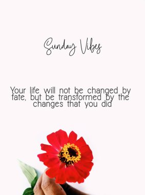 Mutlu Pazar Alıntıları Motivasyonu. İlham verici Alıntılar