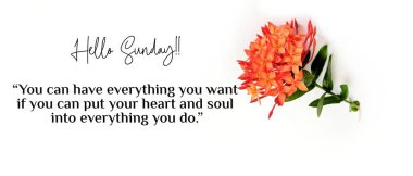 Mutlu Pazar Alıntıları Motivasyonu. İlham verici Alıntılar