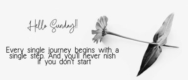 Mutlu Pazar Alıntıları Motivasyonu. İlham verici Alıntılar