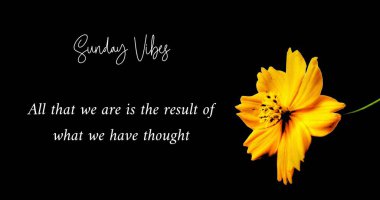 Mutlu Pazar Alıntıları Motivasyonu. İlham verici Alıntılar