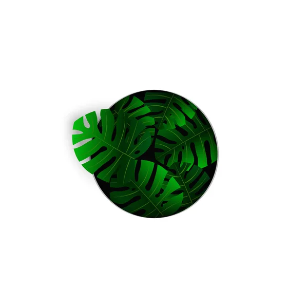 Реалистичный тропический зеленый монстр листья растения вокруг ботанического логотипа векторной иллюстрации белый фон — стоковый вектор