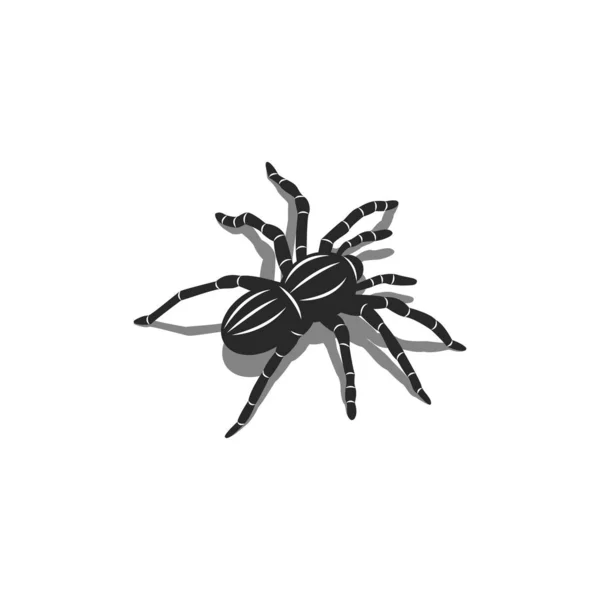 Silueta Una Araña Tarántula Insecto Forma Isométrica Con Sombras Diseño — Archivo Imágenes Vectoriales