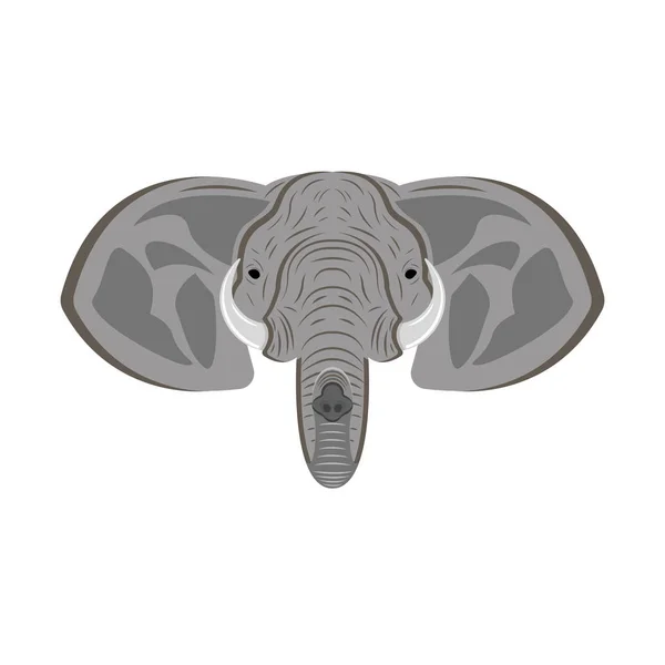 Elephant head with ears, trunk and tusks, animal portrait as a mascot or safari trophy. — Stock Vector