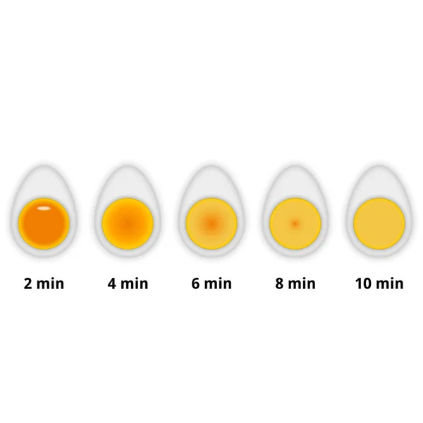 Las Variaciones Preparación Los Huevos Gallina Cocidos Tiempo Una Sección — Archivo Imágenes Vectoriales