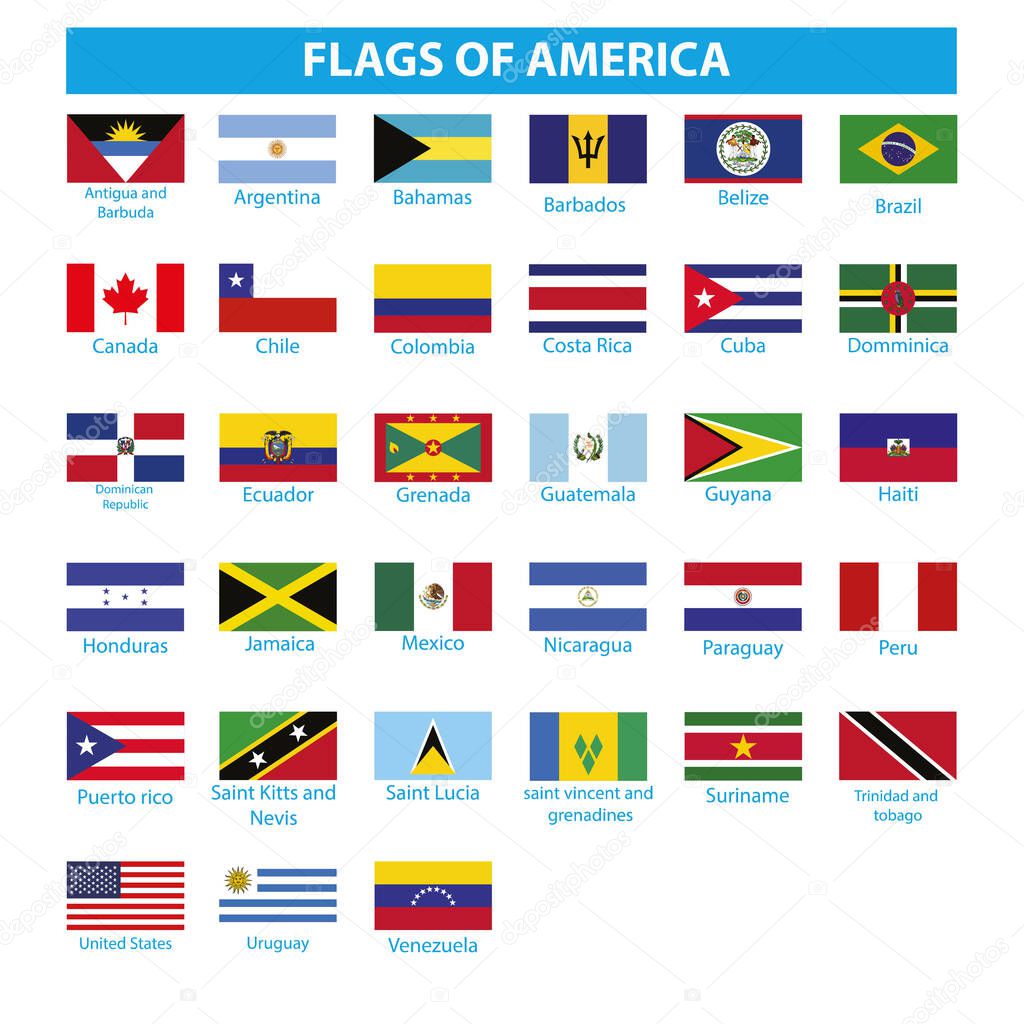 AMERICA of flag icon vector