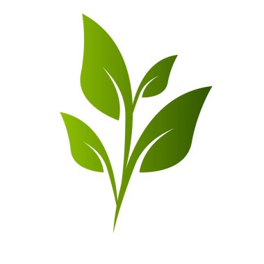 Vejetaryen ikonu. Biyoloji, Ekoloji, Organik logolar ve rozetler, etiket, etiket. Beyaz arka planda yeşil yaprak. Vektör illüstrasyonu