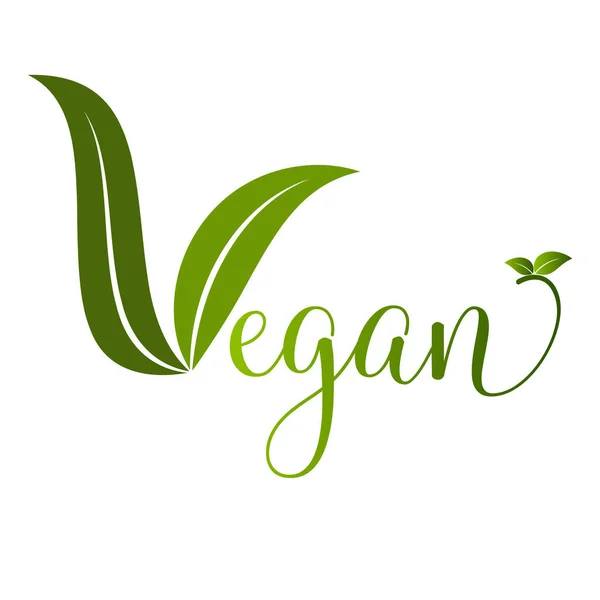 Ikon Vegan Bio Ecology Organic Logo Dan Lencana Label Tag - Stok Vektor