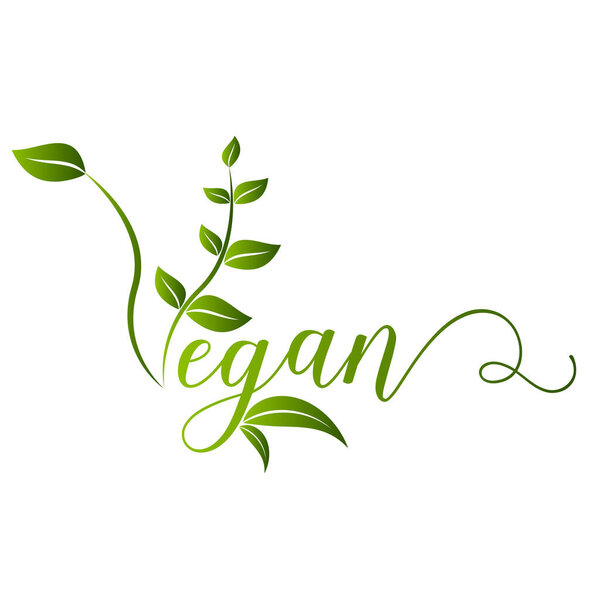 Веганская икона. Озил, Экология, Органические логотипы и значки, этикетка, тег. Зеленый лист на белом фоне. Векторная иллюстрация
