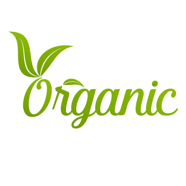 Icono Vegano Bio Ecología Logos Insignias Orgánicas Etiqueta Etiqueta Hoja — Vector de stock