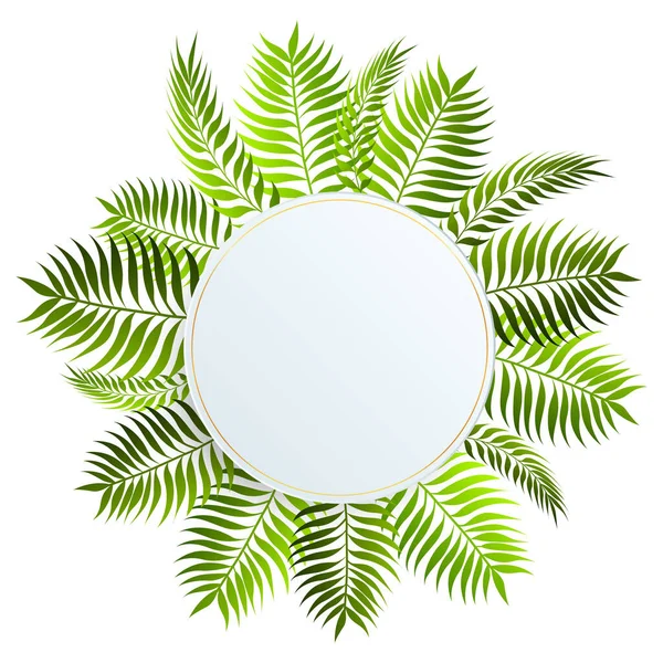 Tropical Leaves Tropical Background Exotic Palm Leaves Plants — Stock Vector