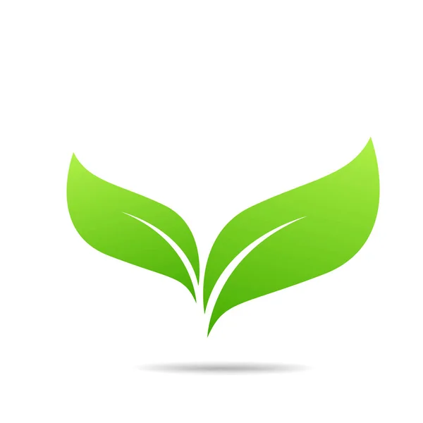 Hoja Verde Icono Diseño Vector Ilustración — Vector de stock