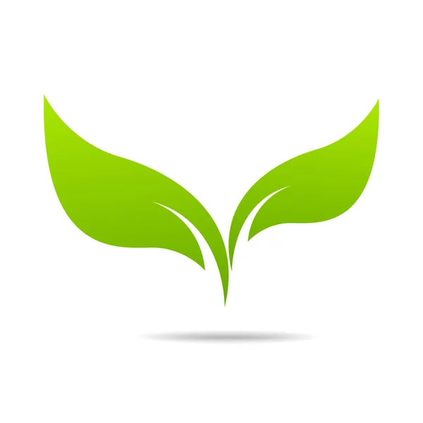 Green Leaf Εικονίδιο Σχεδιασμός Διάνυσμα Εικονογράφηση — Διανυσματικό Αρχείο