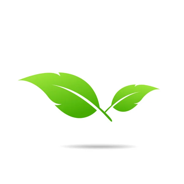 Green Leaf Icon Design Vector Illustration — Stock Vector